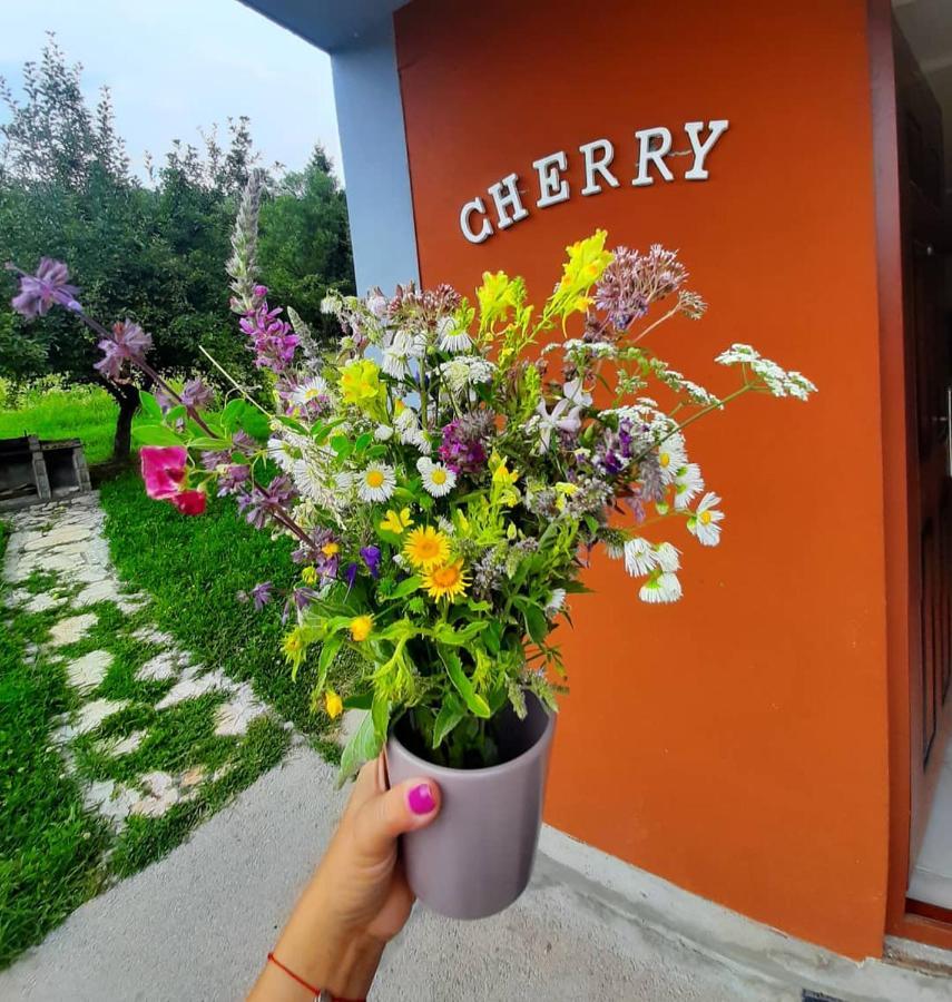 Apartman Cherry Gradac Valjevo Extérieur photo